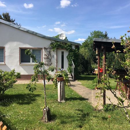 Ferienhaus An Der Selke Meisdorf Экстерьер фото