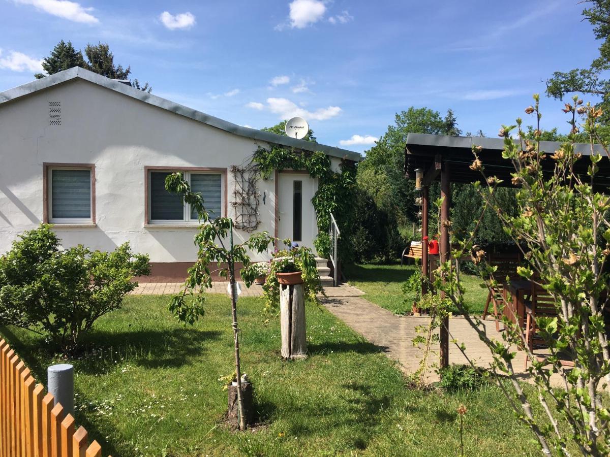 Ferienhaus An Der Selke Meisdorf Экстерьер фото