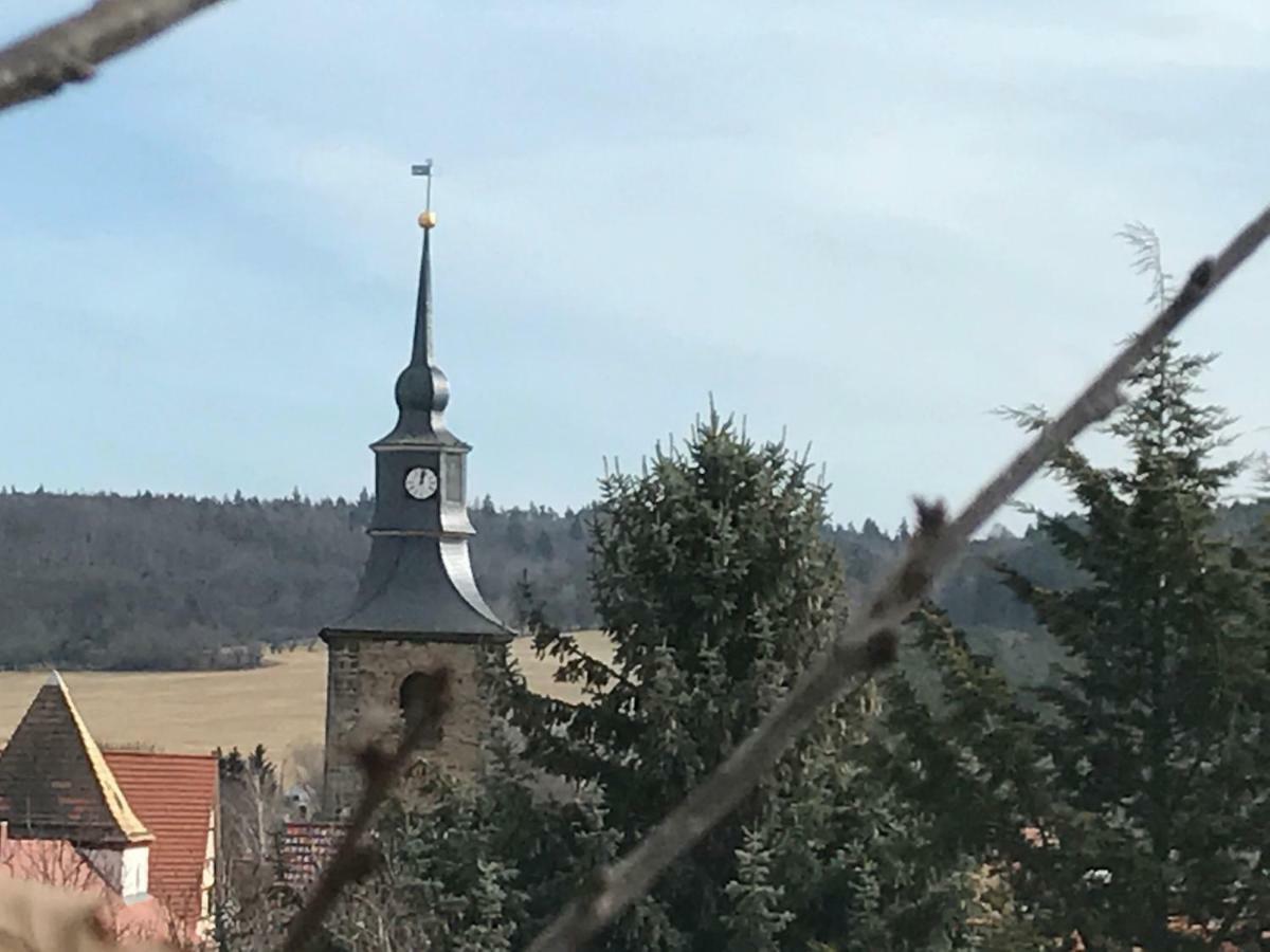 Ferienhaus An Der Selke Meisdorf Экстерьер фото